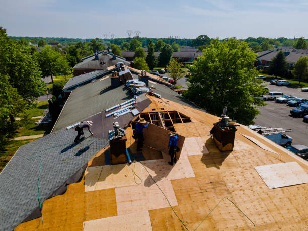 Best Flat Roof Repair Services  in Grafton, ND