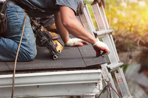 Best Roof Leak Repair  in Grafton, ND